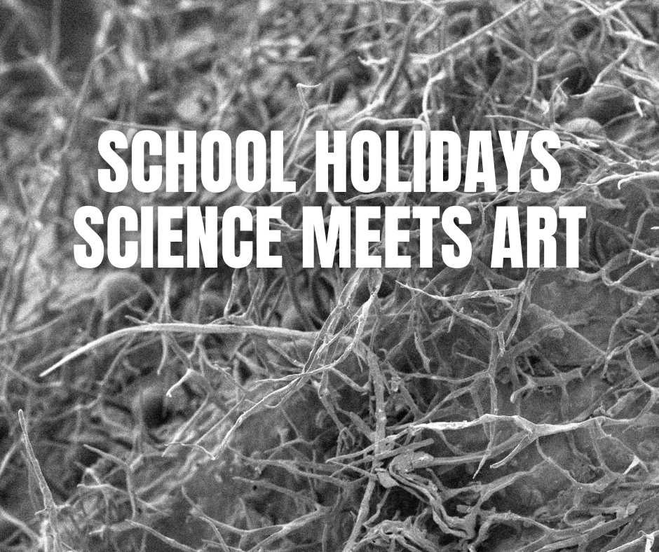 Science Meets Art: Worlds Beyond the Eye